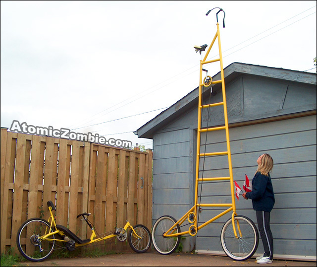 tall bike and lowracer